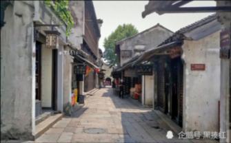 逃离神秘之林